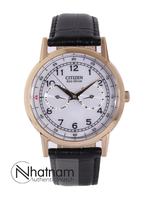 Citizen AO9003-16A Eco-drive Leather