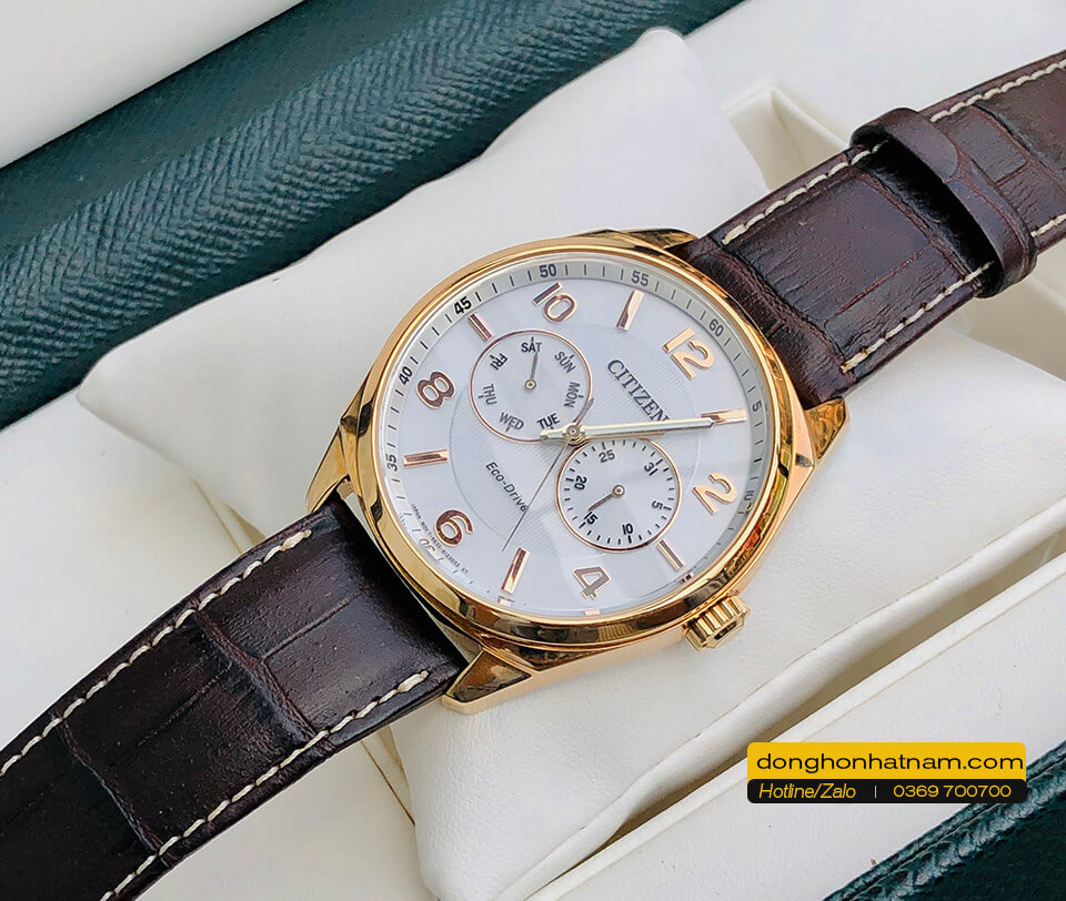 Citizen A09023-01A Eco-drive Gold Leather