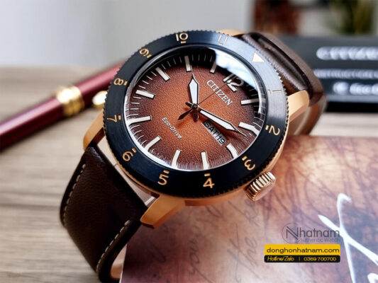 Citizen Aw0079 13x Leather